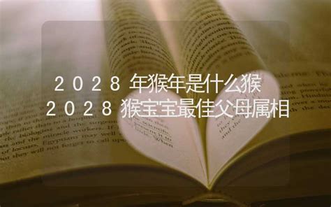 2028是什么年|2028年